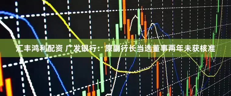 汇丰鸿利配资 广发银行：原副行长当选董事两年未获核准