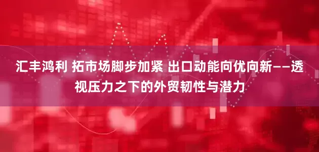 汇丰鸿利 拓市场脚步加紧 出口动能向优向新——透视压力之下的外贸韧性与潜力