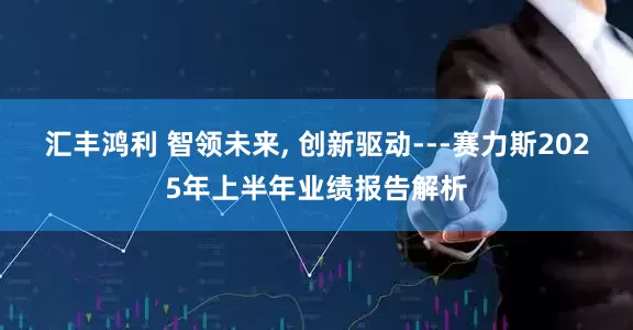 汇丰鸿利 智领未来, 创新驱动---赛力斯2025年上半年业绩报告解析