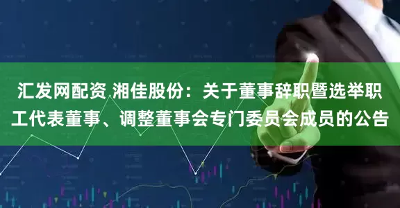 汇发网配资 湘佳股份：关于董事辞职暨选举职工代表董事、调整董事会专门委员会成员的公告