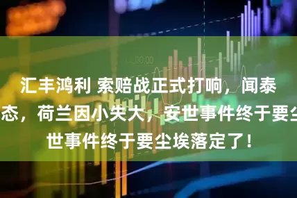 汇丰鸿利 索赔战正式打响，闻泰科技明确表态，荷兰因小失大，安世事件终于要尘埃落定了！