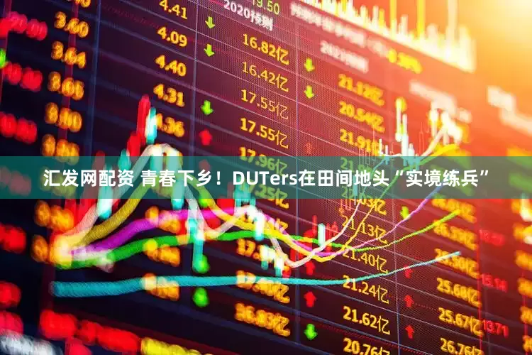 汇发网配资 青春下乡！DUTers在田间地头“实境练兵”