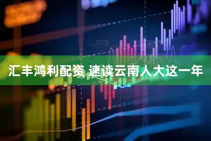 汇丰鸿利配资 速读云南人大这一年