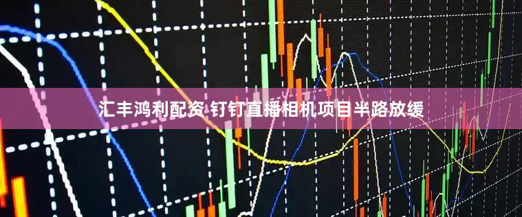 汇丰鸿利配资 钉钉直播相机项目半路放缓